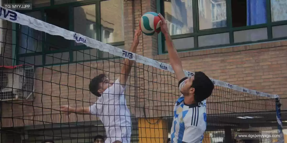 🎉 弹幕、解说、回放，直播乐趣不止于观看！